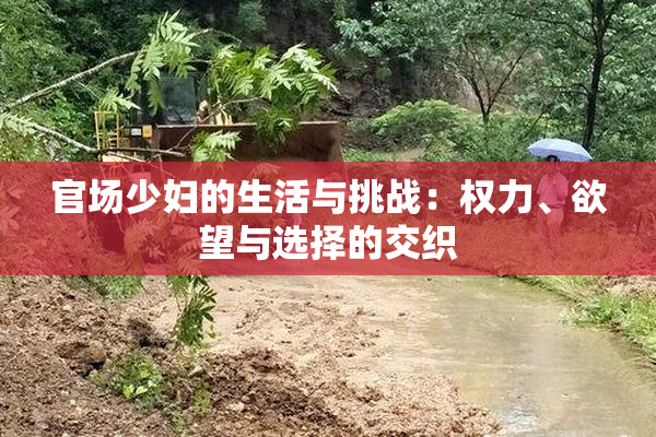 官场少妇的生活与挑战：权力、欲望与选择的交织