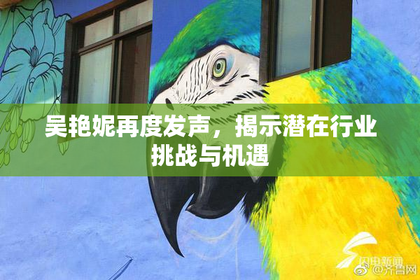 吴艳妮再度发声，揭示潜在行业挑战与机遇