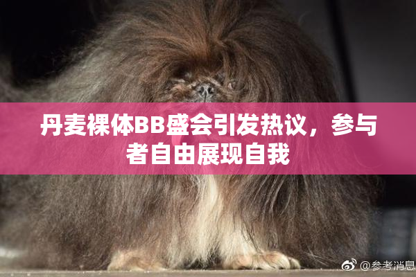 丹麦裸体BB盛会引发热议，参与者自由展现自我