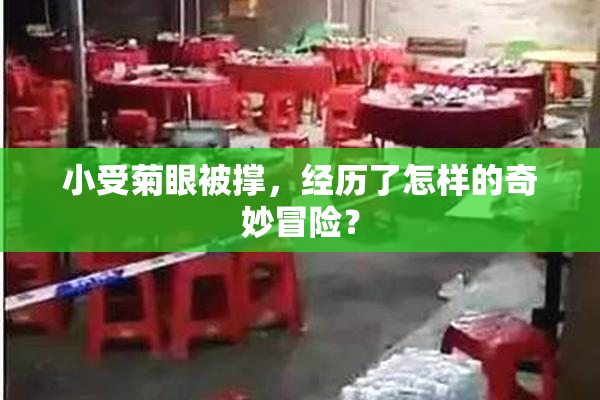 小受菊眼被撑，经历了怎样的奇妙冒险？