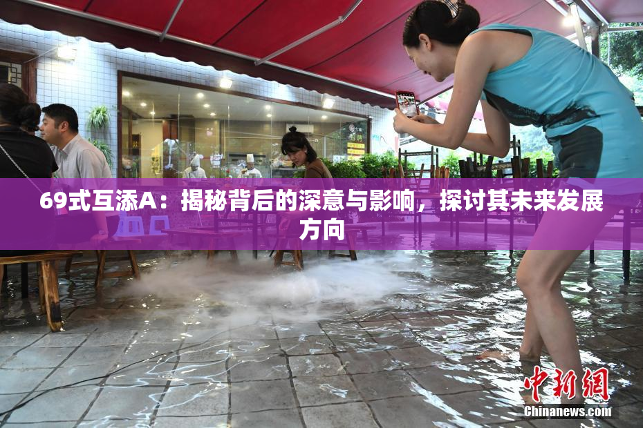 69式互添A：揭秘背后的深意与影响，探讨其未来发展方向