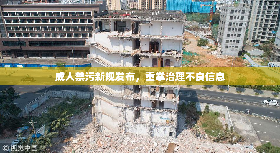成人禁污新规发布，重拳治理不良信息
