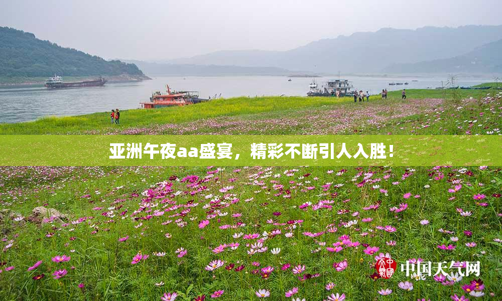 亚洲午夜aa盛宴，精彩不断引人入胜！
