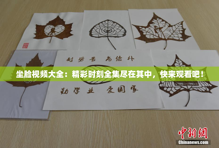 坐脸视频大全：精彩时刻全集尽在其中，快来观看吧！