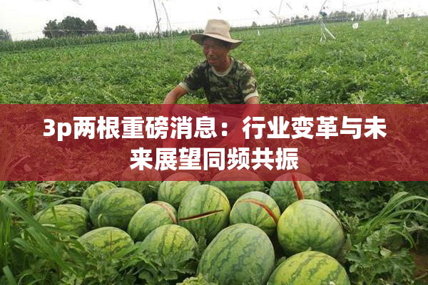 3p两根重磅消息：行业变革与未来展望同频共振