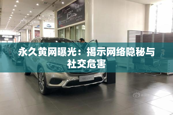 永久黄网曝光：揭示网络隐秘与社交危害