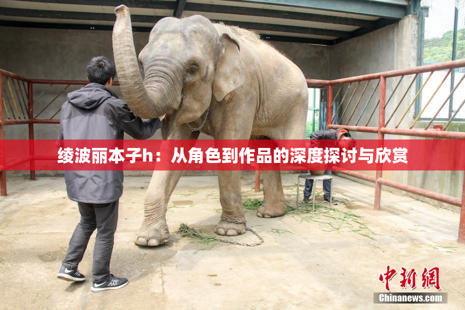 绫波丽本子h：从角色到作品的深度探讨与欣赏