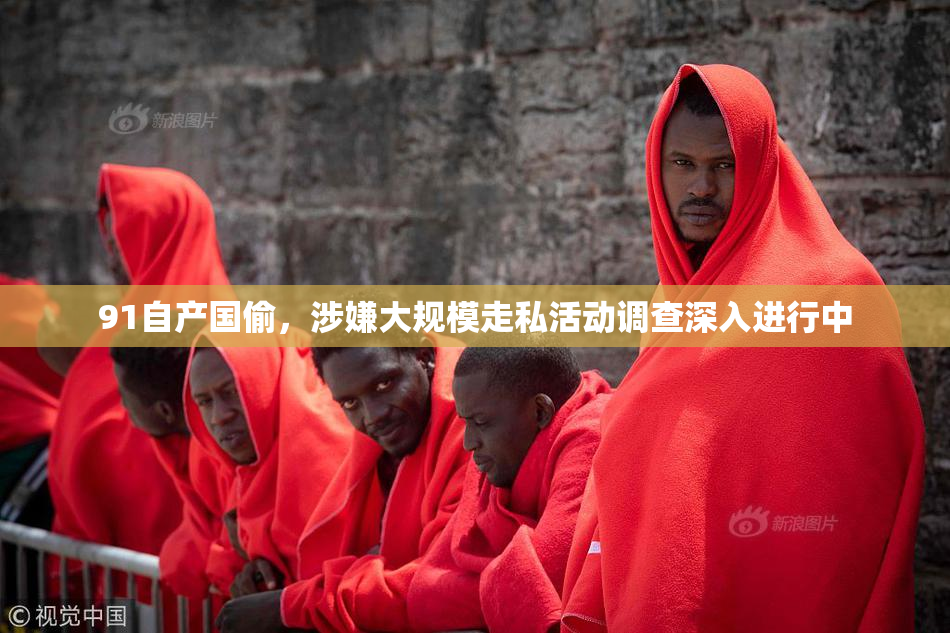 91自产国偷，涉嫌大规模走私活动调查深入进行中
