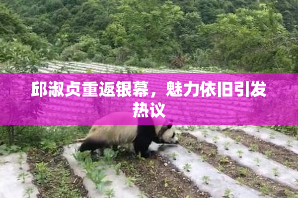 邱淑贞重返银幕，魅力依旧引发热议