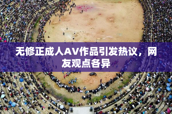 无修正成人AV作品引发热议，网友观点各异