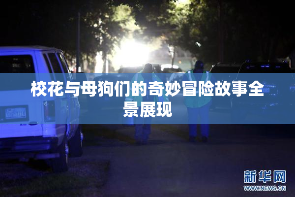 校花与母狗们的奇妙冒险故事全景展现