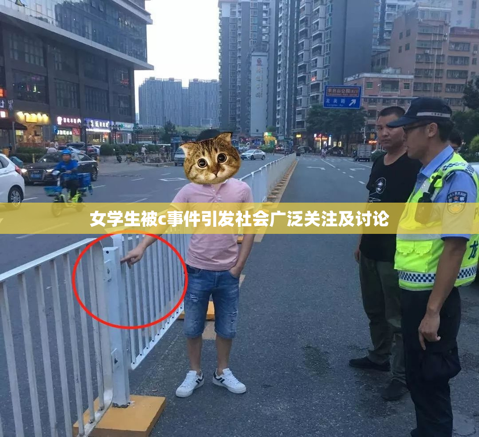 女学生被c事件引发社会广泛关注及讨论