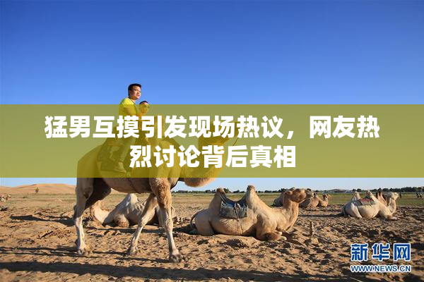 猛男互摸引发现场热议，网友热烈讨论背后真相