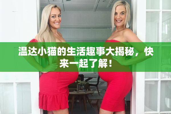 温达小猫的生活趣事大揭秘，快来一起了解！