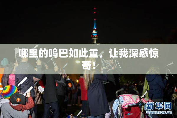 哪里的鸣巴如此重，让我深感惊奇！