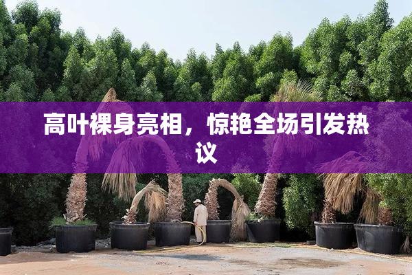 高叶裸身亮相，惊艳全场引发热议