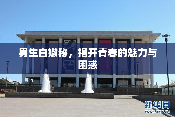 男生白嫩秘，揭开青春的魅力与困惑