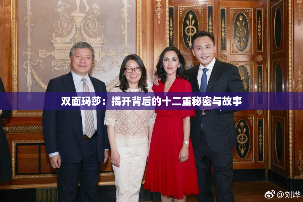 双面玛莎：揭开背后的十二重秘密与故事