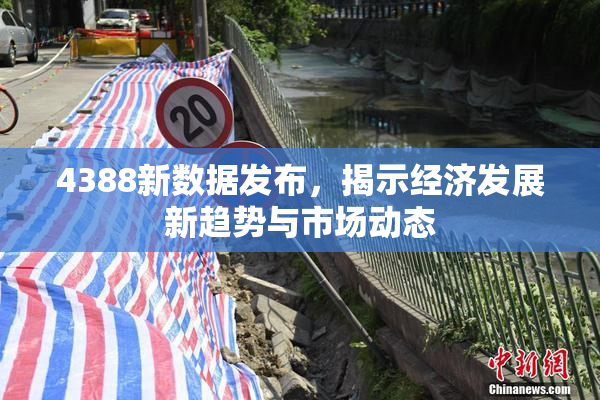 4388新数据发布，揭示经济发展新趋势与市场动态