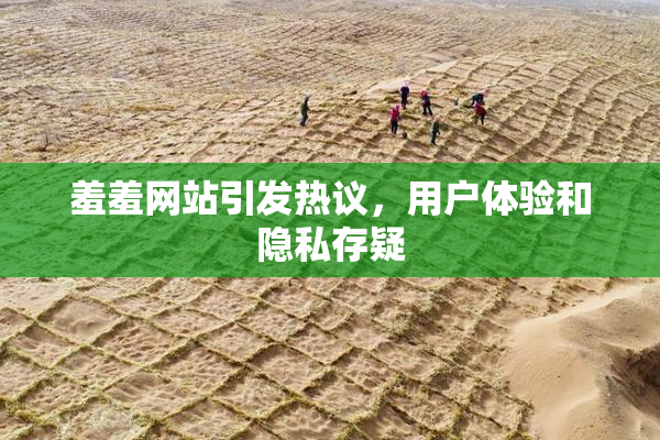 羞羞网站引发热议，用户体验和隐私存疑