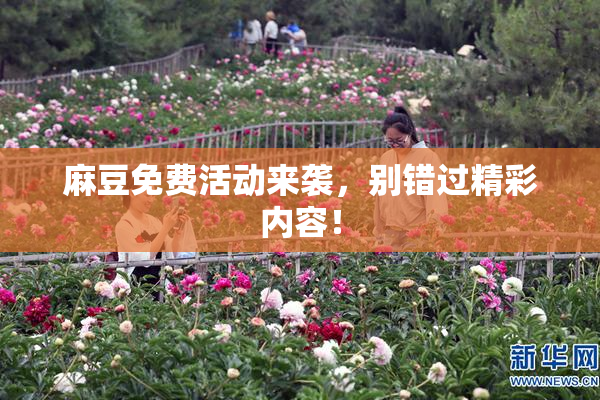 麻豆免费活动来袭，别错过精彩内容！
