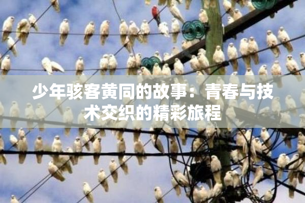 少年骇客黄同的故事：青春与技术交织的精彩旅程