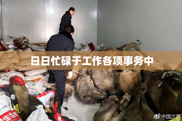 日日忙碌于工作各项事务中