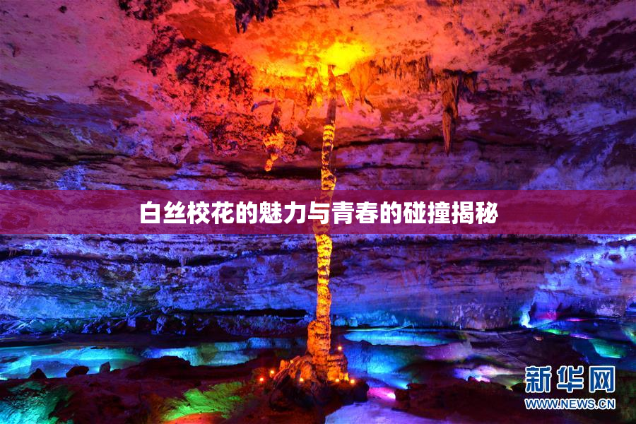 白丝校花的魅力与青春的碰撞揭秘