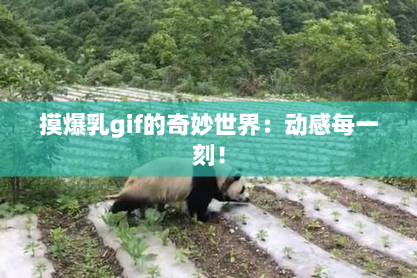 摸爆乳gif的奇妙世界：动感每一刻！