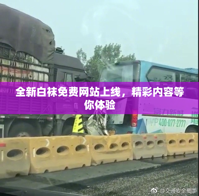全新白袜免费网站上线，精彩内容等你体验
