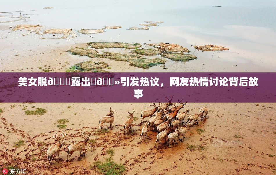 美女脱👙露出‌🐻引发热议，网友热情讨论背后故事