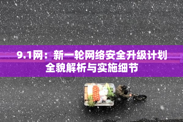 9.1网：新一轮网络安全升级计划全貌解析与实施细节