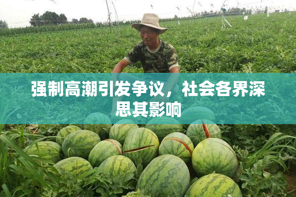强制高潮引发争议，社会各界深思其影响