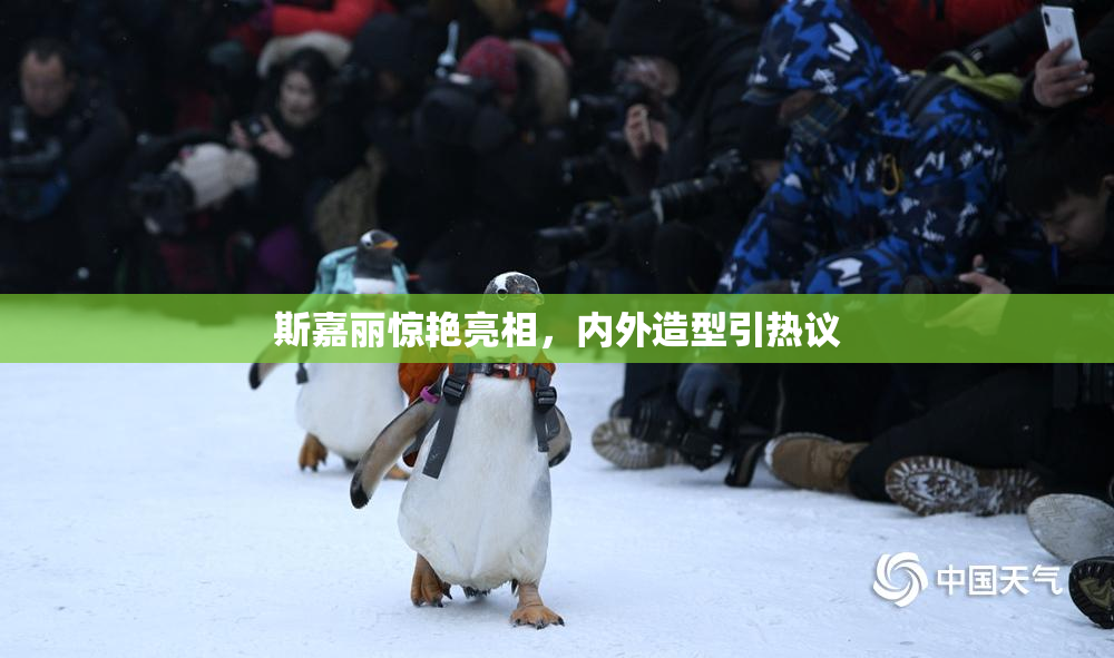 斯嘉丽惊艳亮相，内外造型引热议