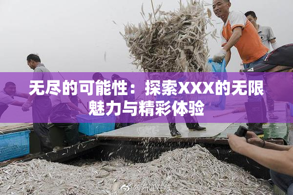 无尽的可能性：探索XXX的无限魅力与精彩体验