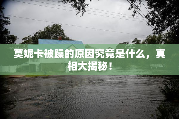 莫妮卡被躁的原因究竟是什么，真相大揭秘！