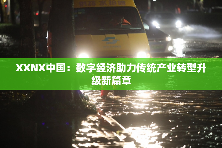 XXNX中国：数字经济助力传统产业转型升级新篇章