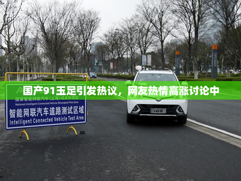国产91玉足引发热议，网友热情高涨讨论中