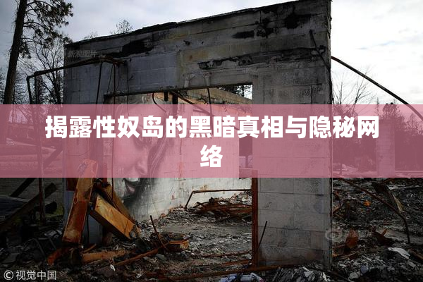 揭露性奴岛的黑暗真相与隐秘网络
