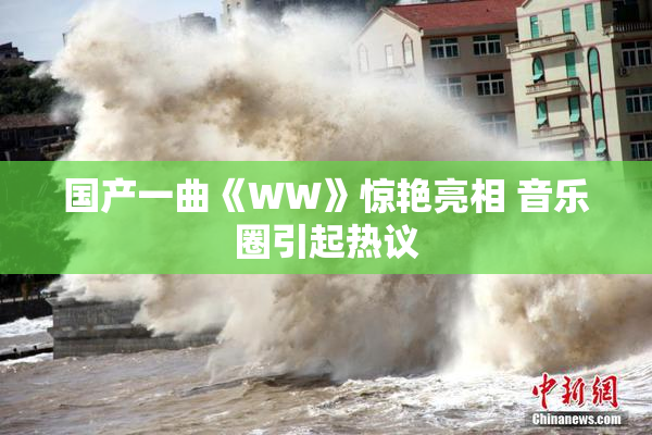 国产一曲《WW》惊艳亮相 音乐圈引起热议