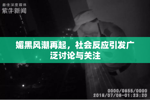 媚黑风潮再起，社会反应引发广泛讨论与关注