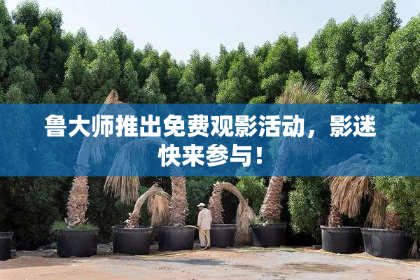 鲁大师推出免费观影活动，影迷快来参与！