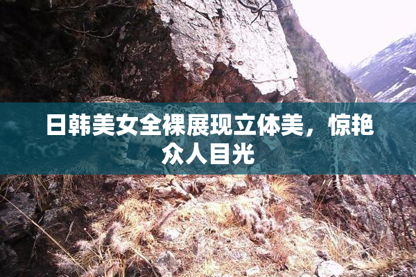 日韩美女全裸展现立体美，惊艳众人目光