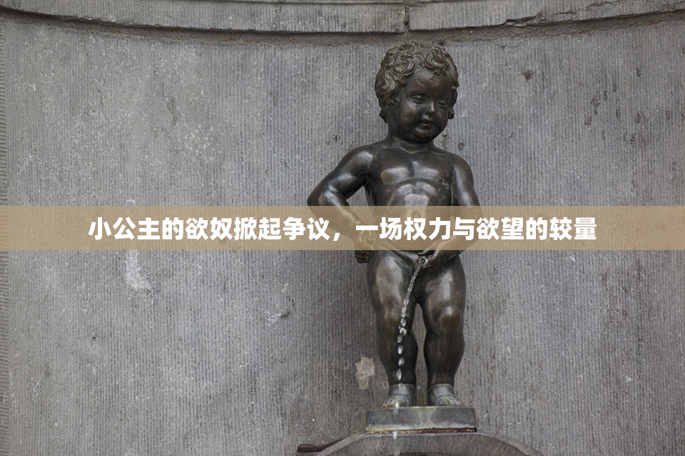 小公主的欲奴掀起争议，一场权力与欲望的较量