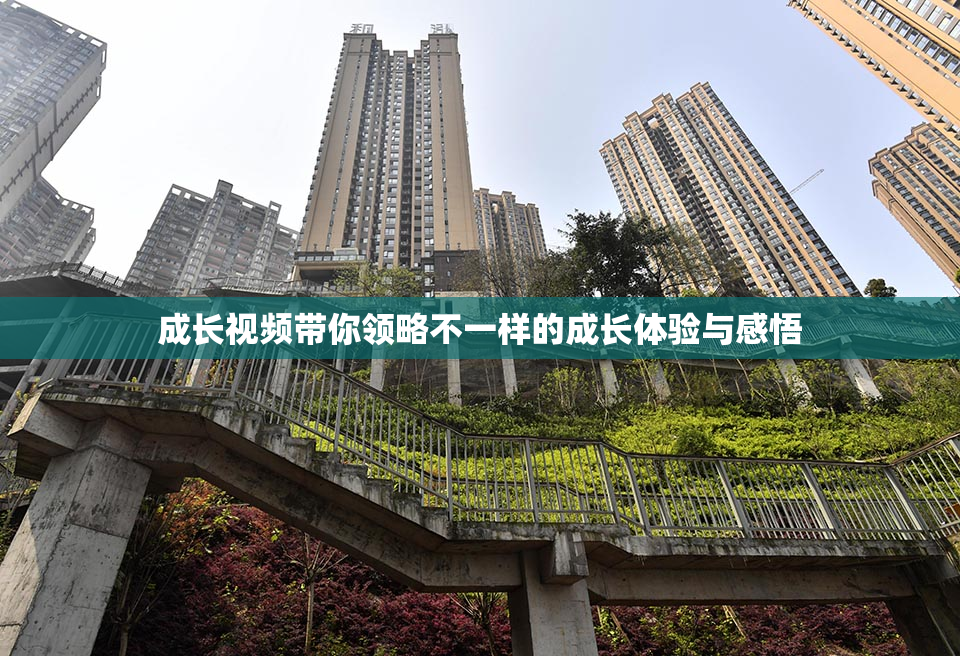成长视频带你领略不一样的成长体验与感悟