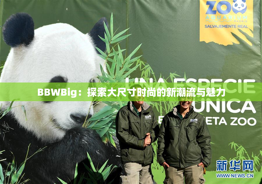 BBWBig：探索大尺寸时尚的新潮流与魅力