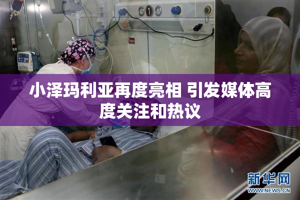 小泽玛利亚再度亮相 引发媒体高度关注和热议