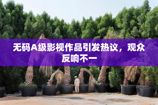 无码A级影视作品引发热议，观众反响不一
