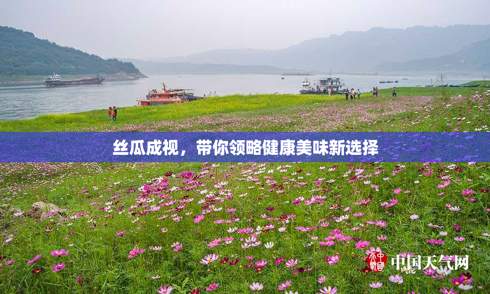 丝瓜成视，带你领略健康美味新选择