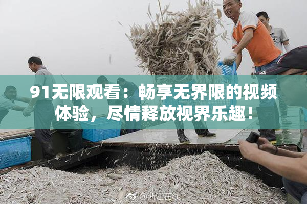 91无限观看：畅享无界限的视频体验，尽情释放视界乐趣！